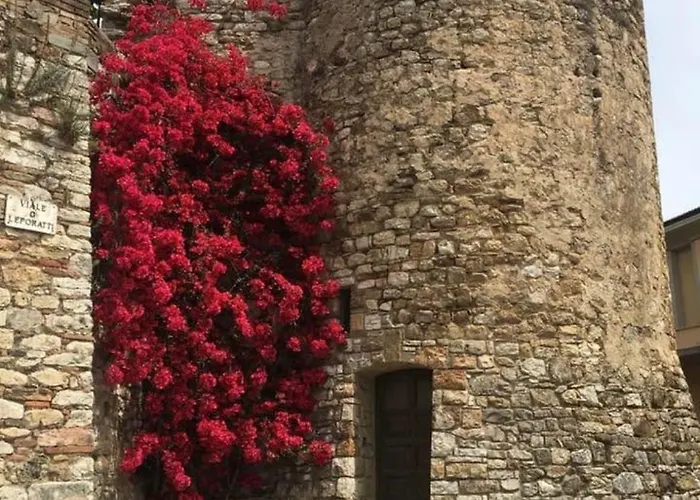 La Torre Della Bella Ragazza * Suvereto